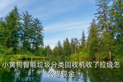 小黄狗智能垃圾分类回收机收了拉级怎么提现金
