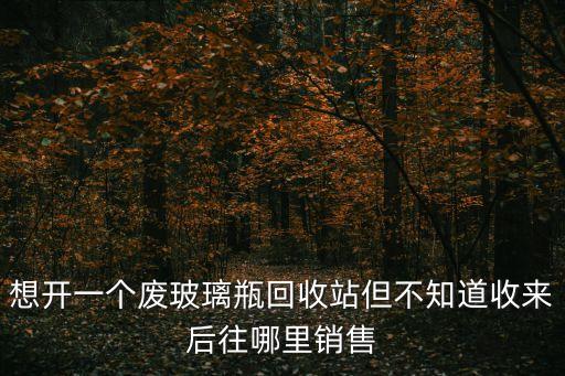 想开一个废玻璃瓶回收站但不知道收来后往哪里销售