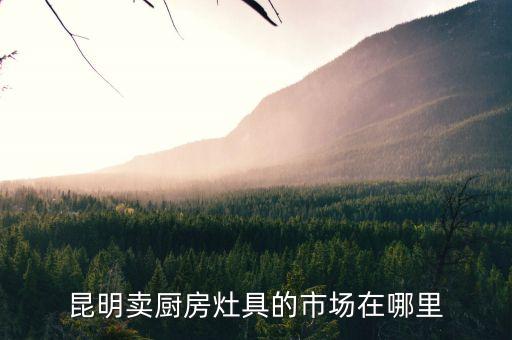 昆明卖厨房灶具的市场在哪里