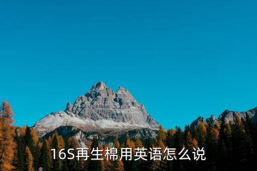 16S再生棉用英语怎么说