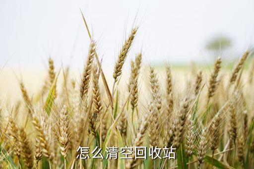 怎么清空回收站
