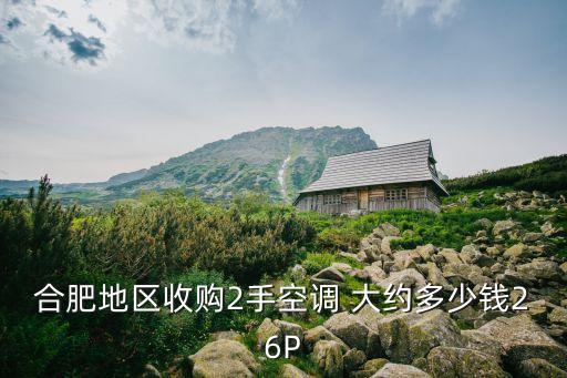 合肥地区收购2手空调 大约多少钱26P