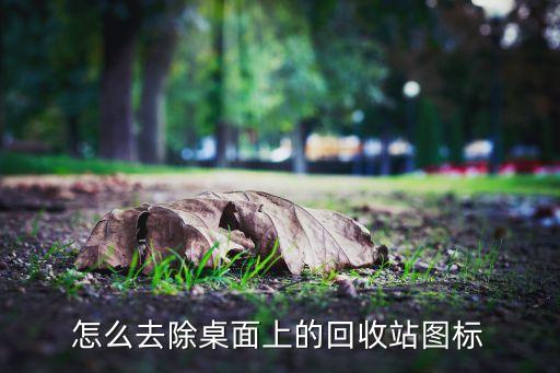 怎么去除桌面上的回收站图标