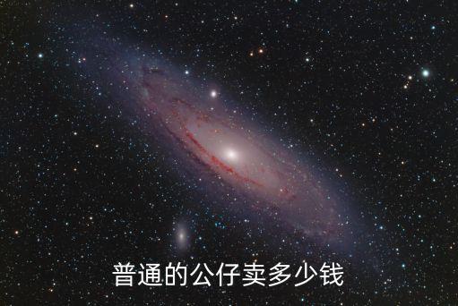 普通的公仔卖多少钱