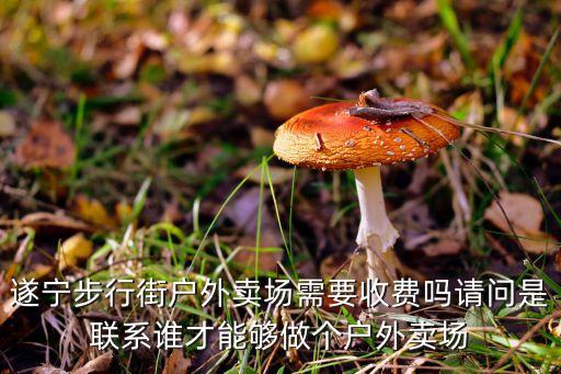 遂宁步行街户外卖场需要收费吗请问是联系谁才能够做个户外卖场