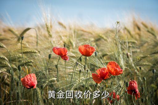 黄金回收价多少