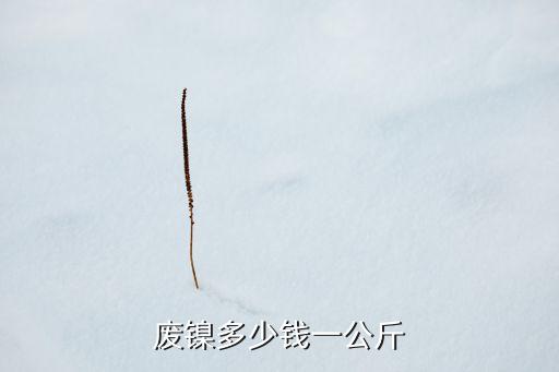 废镍多少钱一公斤