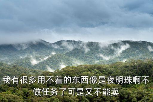 夜明珠怎么回收，自由幻想里飞鸟和游鱼任务送的夜明珠应该怎么处理啊我又不能把