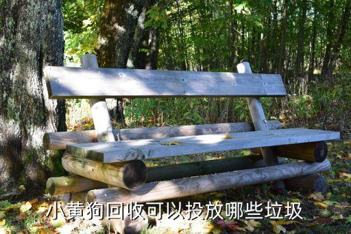 小黄狗回收可以投放哪些垃圾