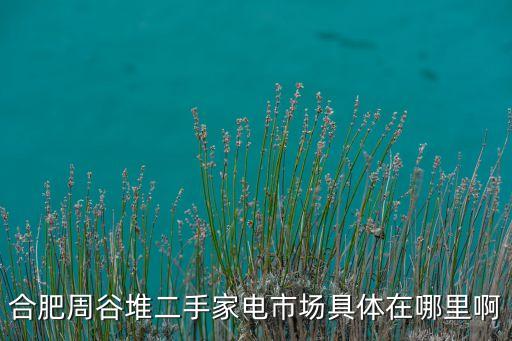 合肥周谷堆二手家电市场具体在哪里啊