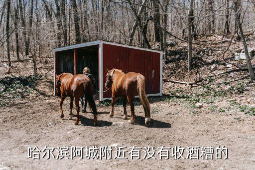 哈尔滨酒水回收，哈尔滨阿城附近有没有收酒糟的