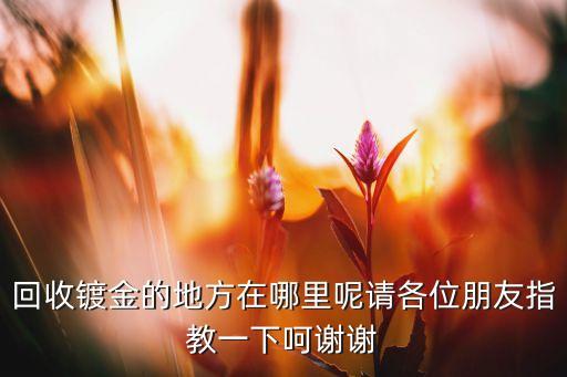 回收镀金的地方在哪里呢请各位朋友指教一下呵谢谢
