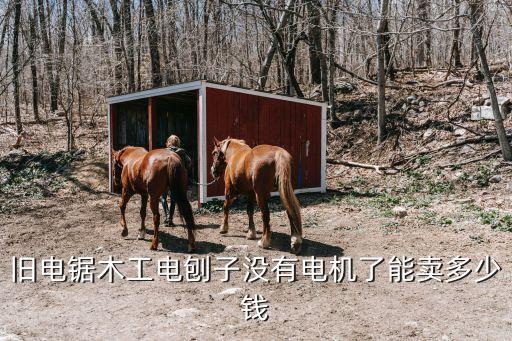 旧电锯木工电刨子没有电机了能卖多少钱