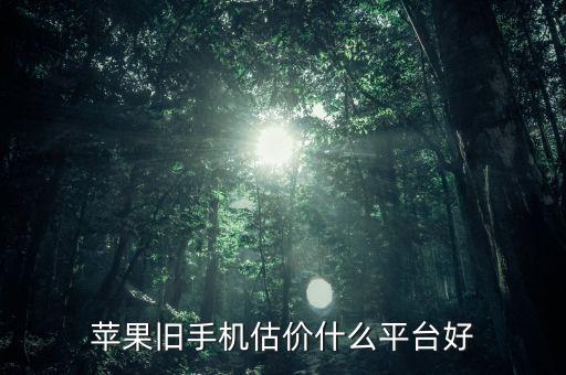苹果旧手机估价什么平台好