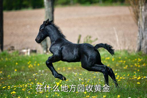 哪里有回收黄金的地方，哪些地方回收黄金