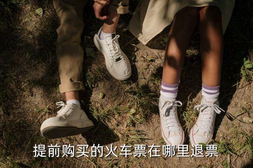 提前购买的火车票在哪里退票