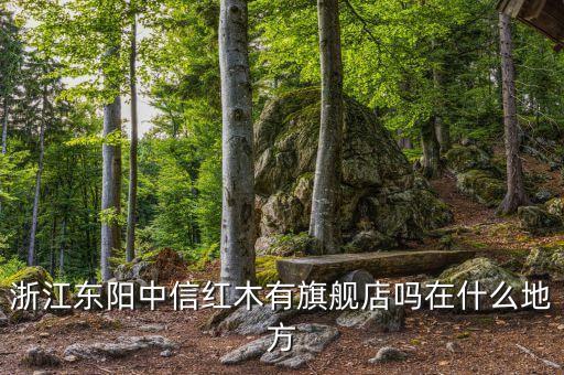 浙江东阳中信红木有旗舰店吗在什么地方