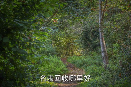栖霞提供名表回收怎么赚钱，名表回收哪里好