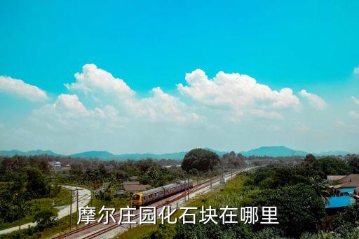 摩尔庄园化石块在哪里