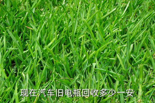 现在汽车旧电瓶回收多少一安