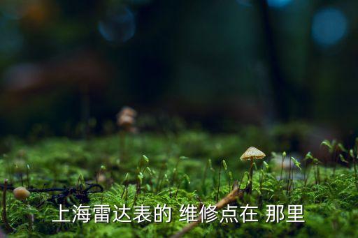 上海雷达表的 维修点在 那里