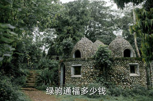 绿驹通福多少钱