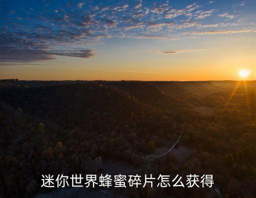 迷你世界蜂蜜碎片怎么获得