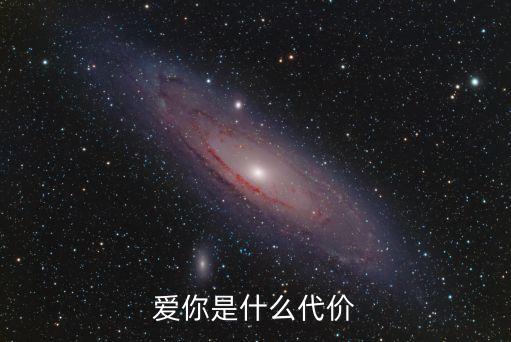 爱你是什么代价