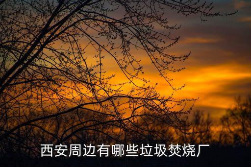 西安周边有哪些垃圾焚烧厂