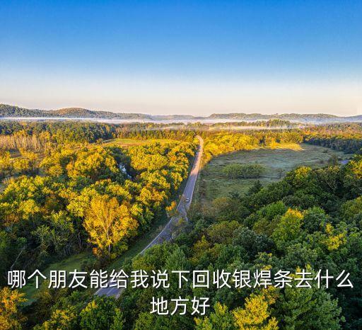 哪个朋友能给我说下回收银焊条去什么地方好