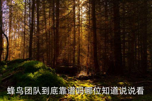 蜂鸟团队到底靠谱吗哪位知道说说看