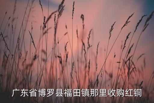 广东省博罗县福田镇那里收购红铜