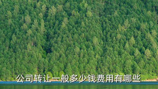 注册三年以上的公司转让费用，三年以上的拍卖公司转让费用是多少
