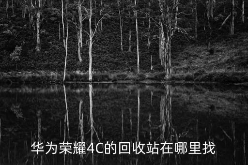 华为荣耀4C的回收站在哪里找
