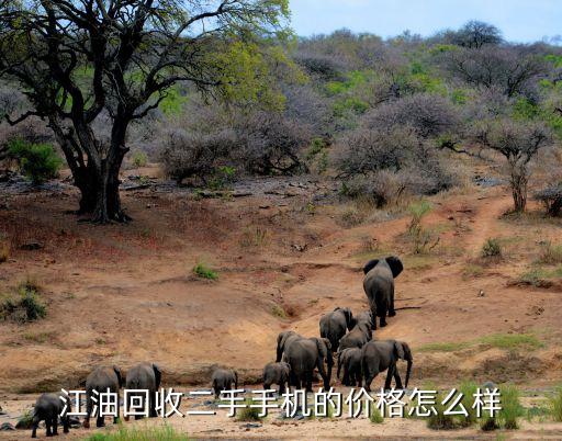 江油回收二手手机的价格怎么样