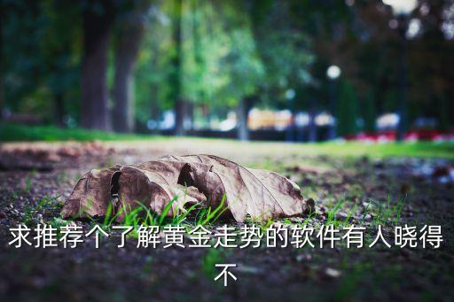 看黄金涨跌看什么软件，求推荐个了解黄金走势的软件有人晓得不