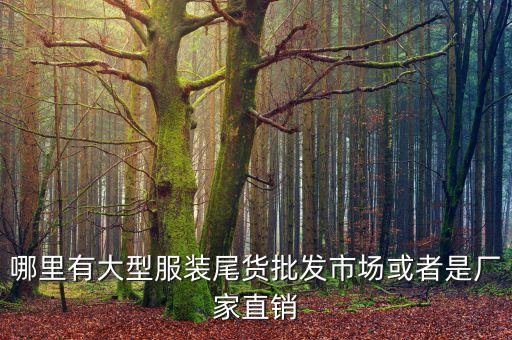 哪里有大型服装尾货批发市场或者是厂家直销