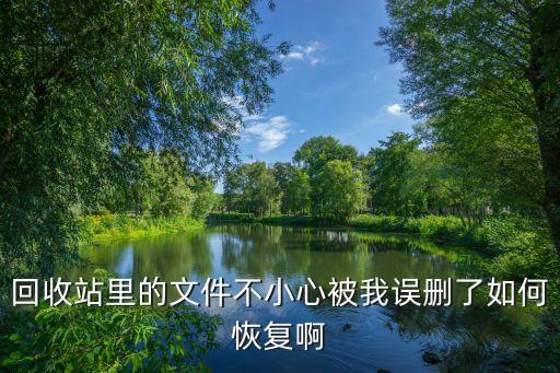 回收站里的东西删除了怎么恢复，回收站里的文件不小心删除了怎么恢复