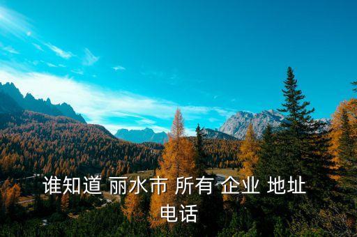谁知道 丽水市 所有 企业 地址 电话