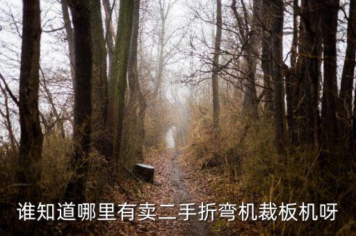 谁知道哪里有卖二手折弯机裁板机呀