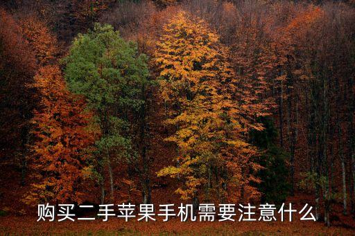 购买二手苹果手机需要注意什么