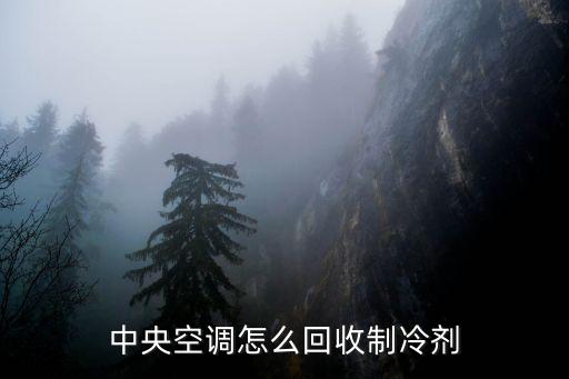 中央空调怎么回收制冷剂