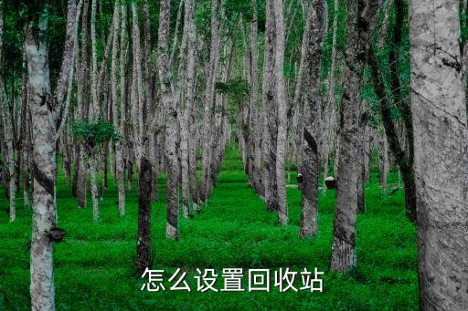 怎么设置回收站
