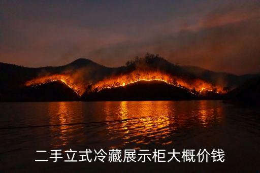 二手立式冷藏展示柜大概价钱