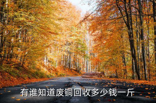 有谁知道废铜回收多少钱一斤