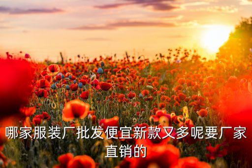 哪家服装厂批发便宜新款又多呢要厂家直销的