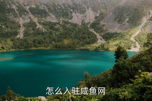 怎么入驻咸鱼网