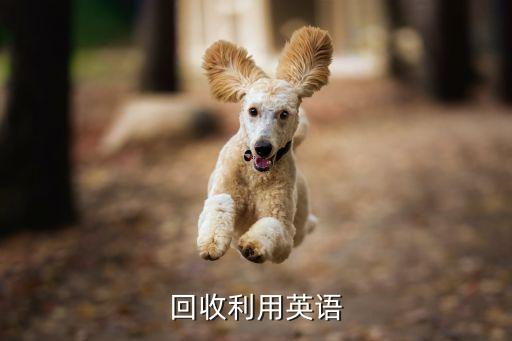 回收利用英语