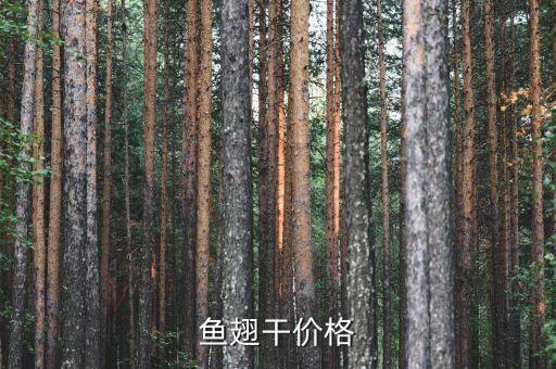 鱼翅干价格