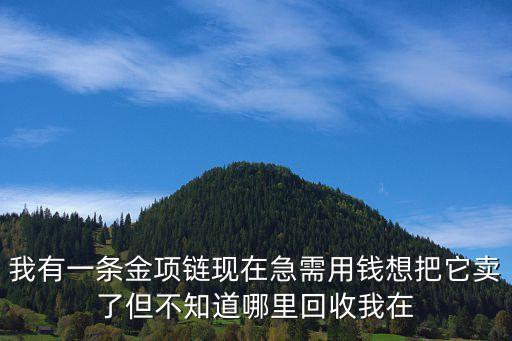 我有一条金项链现在急需用钱想把它卖了但不知道哪里回收我在